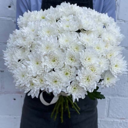 Белая кустовая хризантема - купить с доставкой в по Брехово